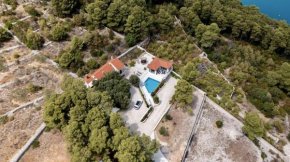 Family friendly house with a swimming pool Puntinak, Brac - 19041